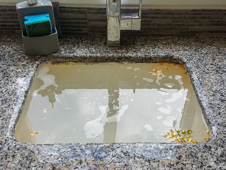 Backed up sink