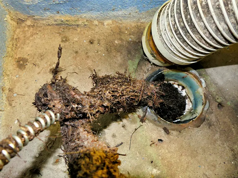 Unclogged drain